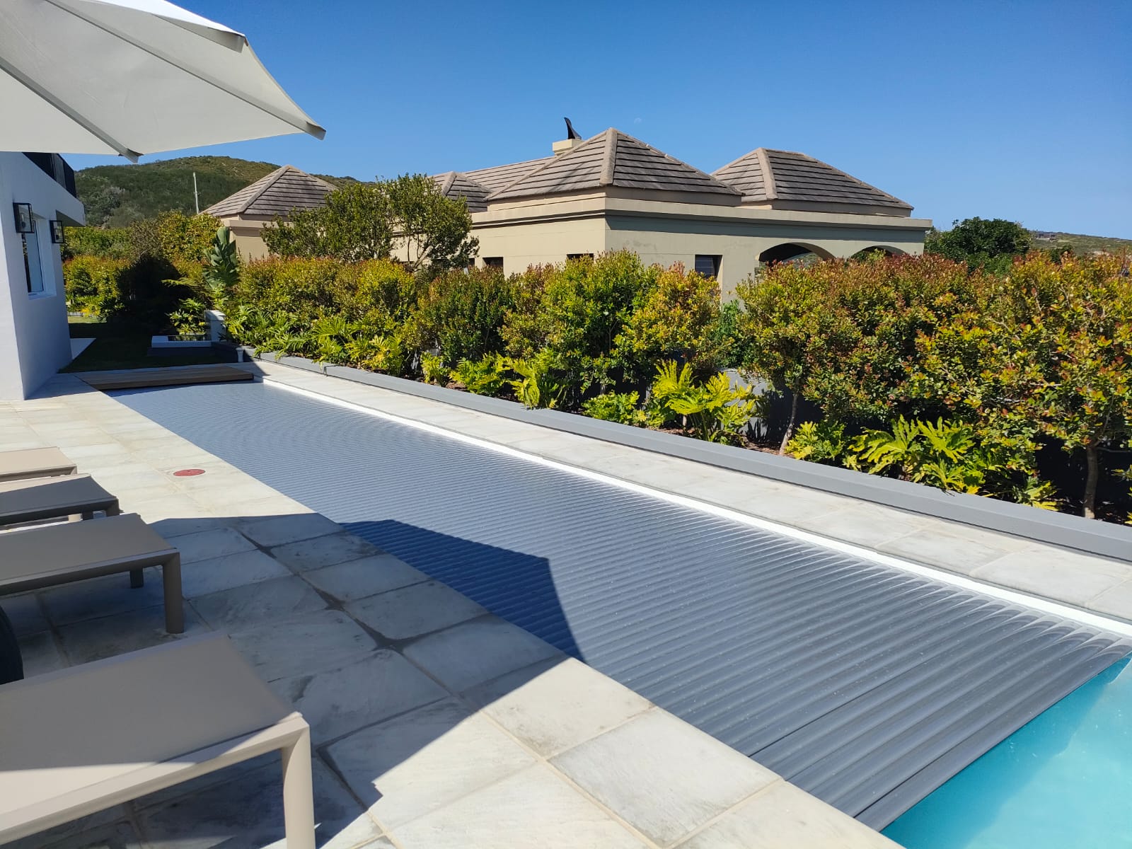 designer pool covers A swimming pool with lounge chairs and umbrellas, while providing solutions on how to keep cats off pool cover.