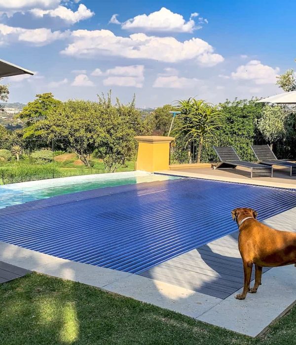 designer pool covers A dog standing next to a swimming pool.
